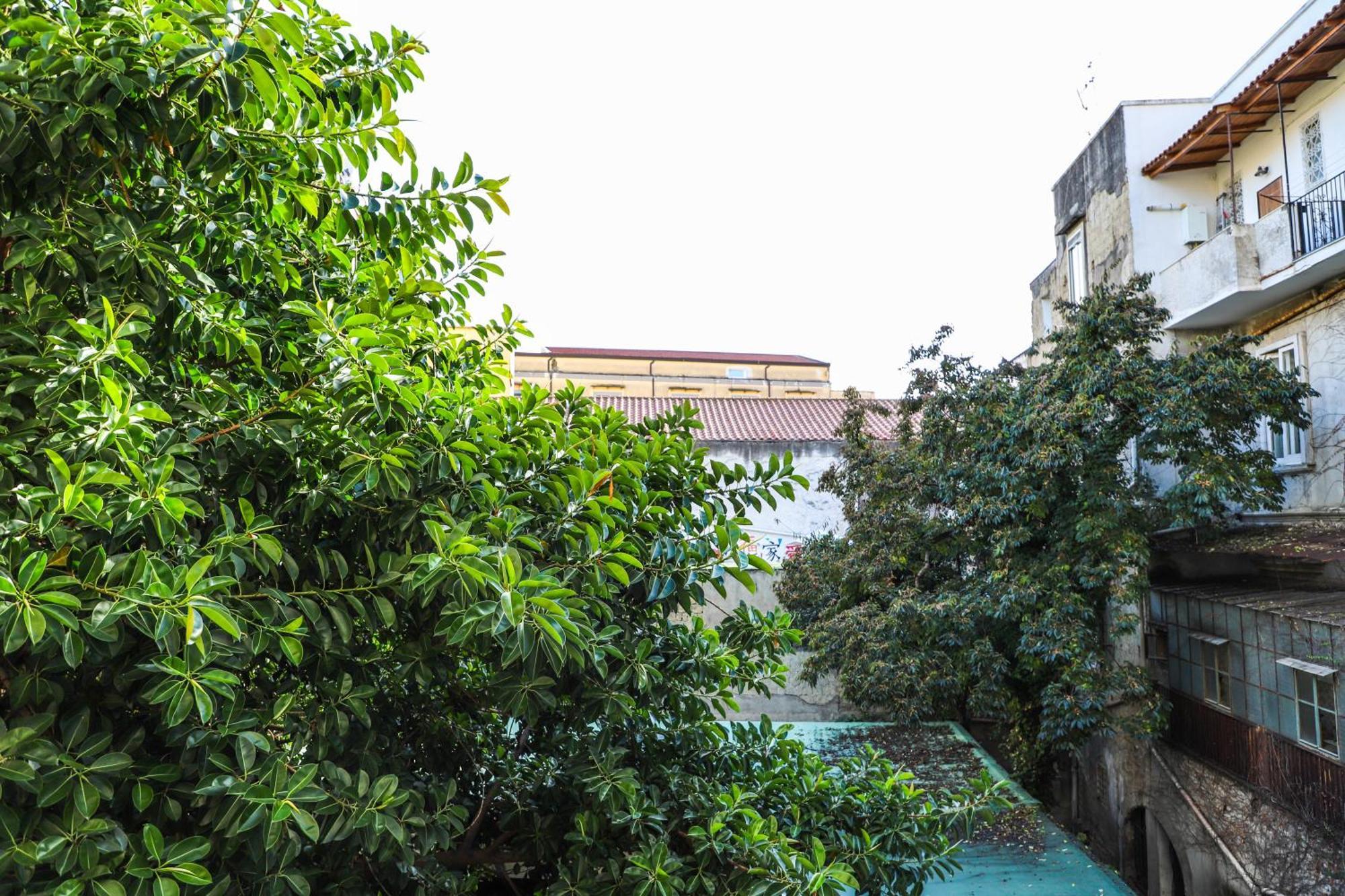 Le Scalette A Santa Chiara Διαμέρισμα Νάπολη Εξωτερικό φωτογραφία